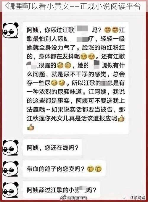 哪里可以看小黄文——正规小说阅读平台