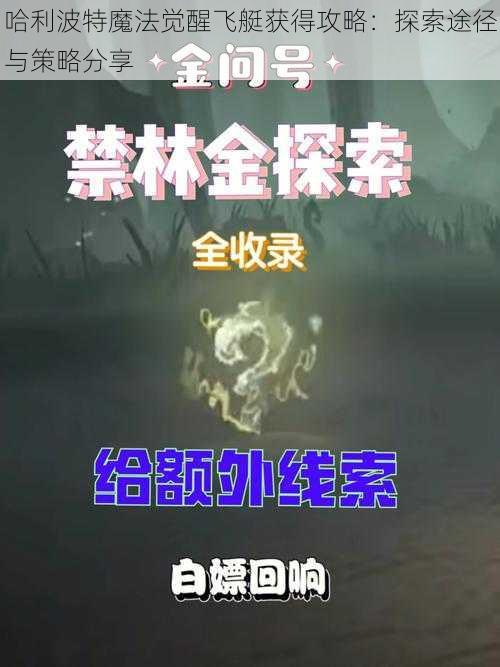 哈利波特魔法觉醒飞艇获得攻略：探索途径与策略分享