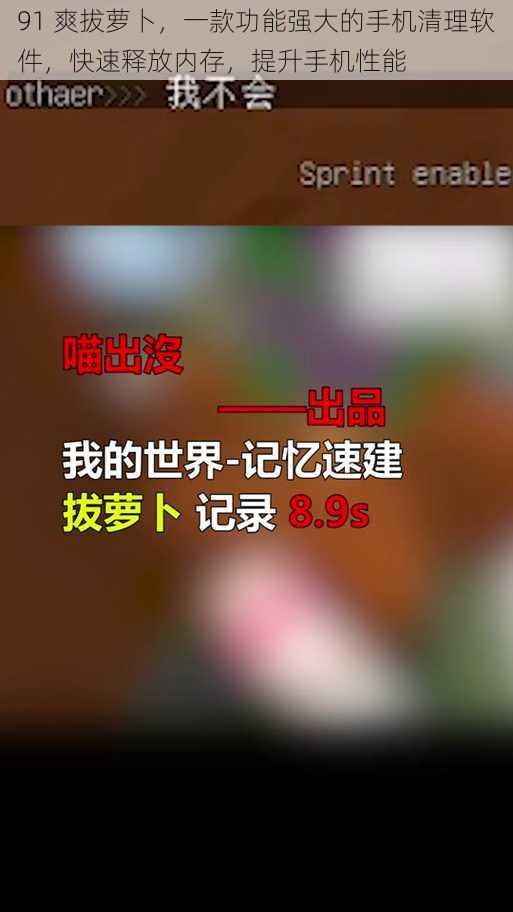 91 爽拔萝卜，一款功能强大的手机清理软件，快速释放内存，提升手机性能