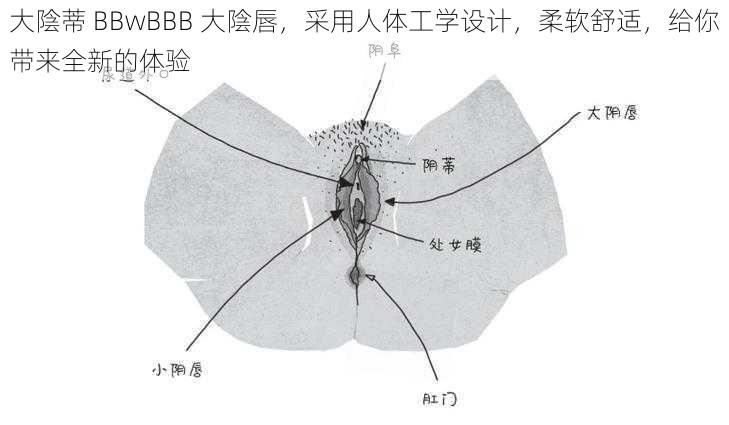 大陰蒂 BBwBBB 大陰唇，采用人体工学设计，柔软舒适，给你带来全新的体验