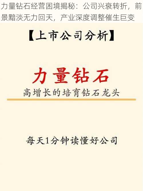 力量钻石经营困境揭秘：公司兴衰转折，前景黯淡无力回天，产业深度调整催生巨变