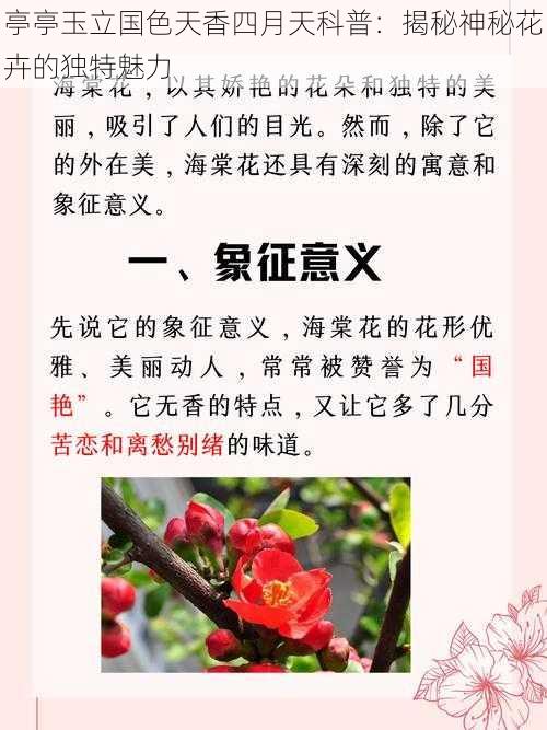 亭亭玉立国色天香四月天科普：揭秘神秘花卉的独特魅力