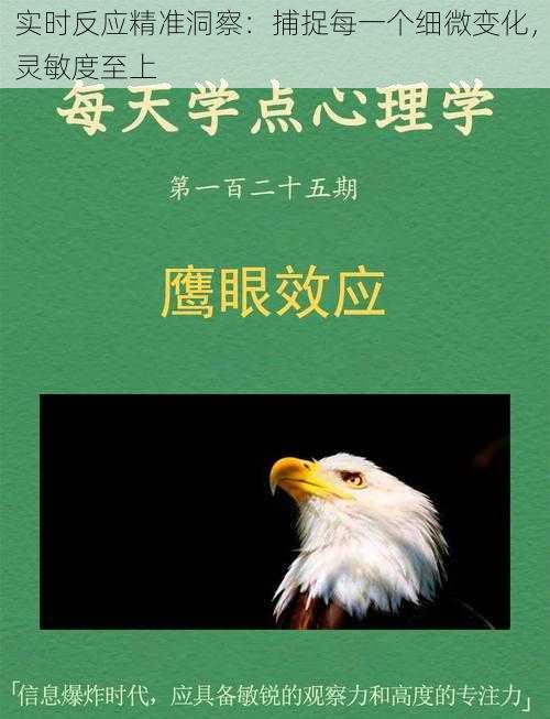 实时反应精准洞察：捕捉每一个细微变化，灵敏度至上