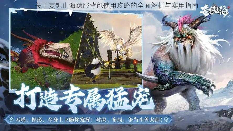 关于妄想山海跨服背包使用攻略的全面解析与实用指南