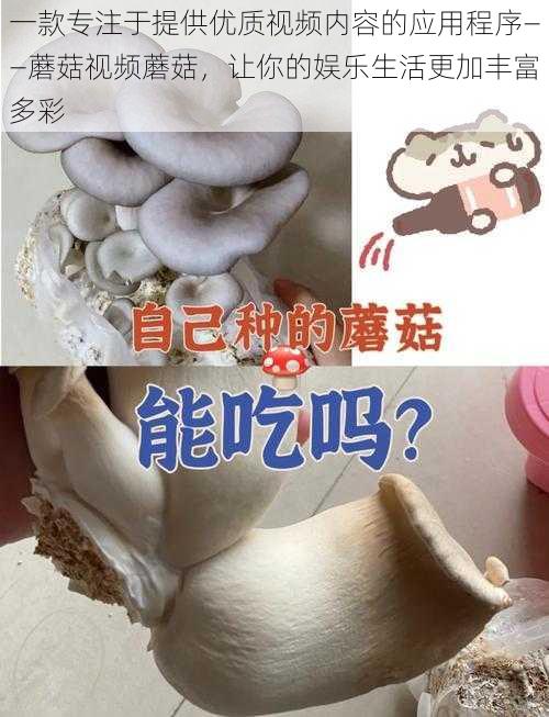 一款专注于提供优质视频内容的应用程序——蘑菇视频蘑菇，让你的娱乐生活更加丰富多彩