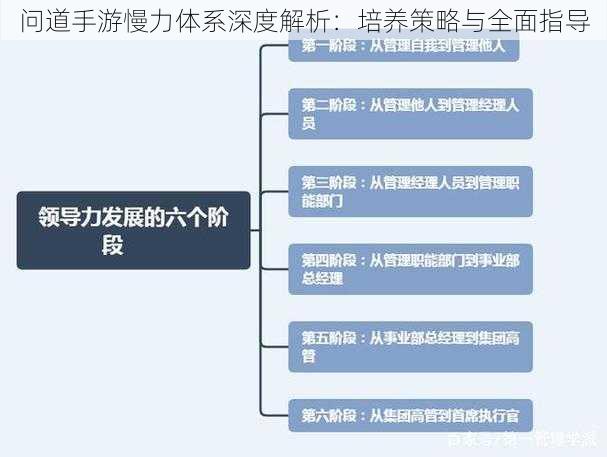 问道手游慢力体系深度解析：培养策略与全面指导