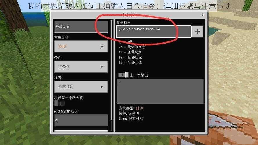我的世界游戏内如何正确输入自杀指令：详细步骤与注意事项