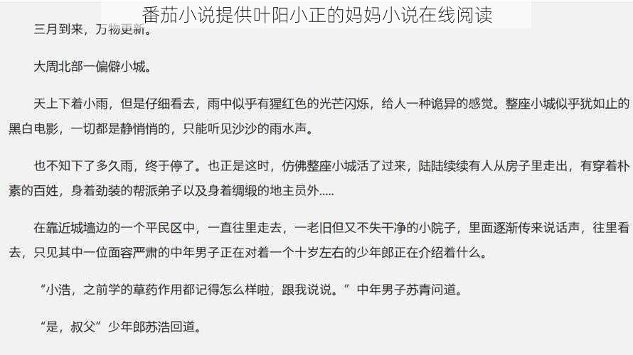 番茄小说提供叶阳小正的妈妈小说在线阅读