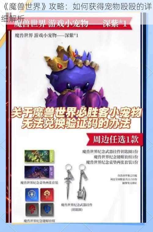 《魔兽世界》攻略：如何获得宠物殴殴的详细解析