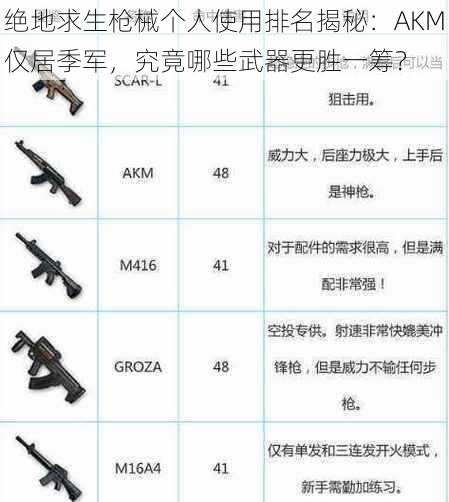 绝地求生枪械个人使用排名揭秘：AKM仅居季军，究竟哪些武器更胜一筹？