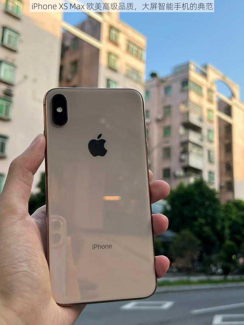 iPhone XS Max 欧美高级品质，大屏智能手机的典范