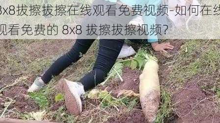 8x8拔擦拔擦在线观看免费视频-如何在线观看免费的 8x8 拔擦拔擦视频？