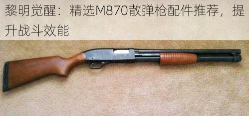 黎明觉醒：精选M870散弹枪配件推荐，提升战斗效能