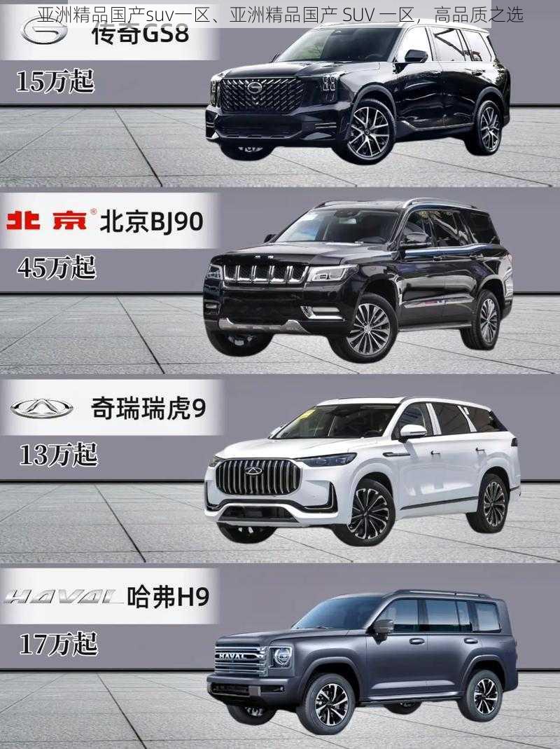 亚洲精品国产suv一区、亚洲精品国产 SUV 一区，高品质之选