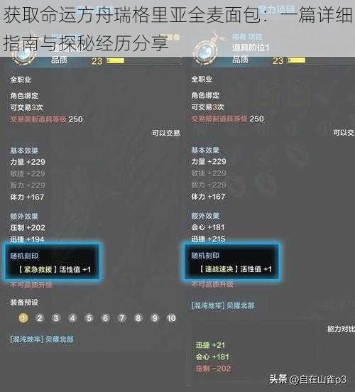 获取命运方舟瑞格里亚全麦面包：一篇详细指南与探秘经历分享