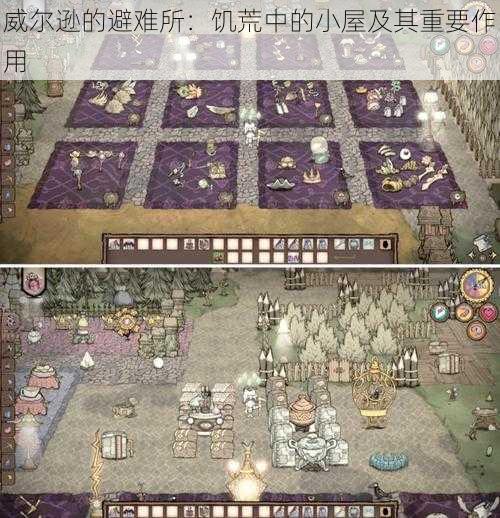 威尔逊的避难所：饥荒中的小屋及其重要作用