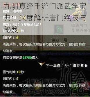 九阴真经手游门派武学宝典：深度解析唐门绝技与秘笈