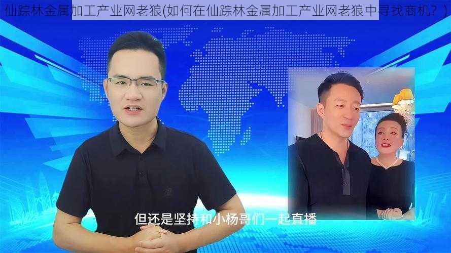 仙踪林金属加工产业网老狼(如何在仙踪林金属加工产业网老狼中寻找商机？)