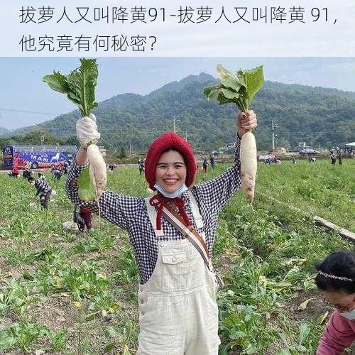 拔萝人又叫降黄91-拔萝人又叫降黄 91，他究竟有何秘密？