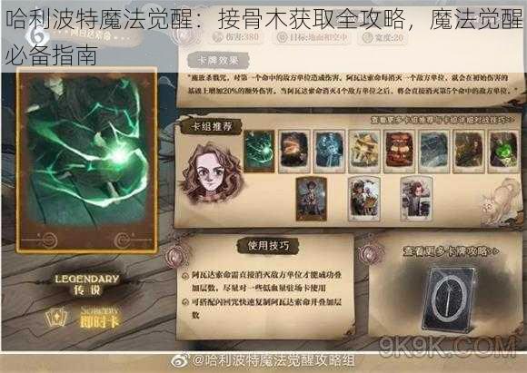 哈利波特魔法觉醒：接骨木获取全攻略，魔法觉醒必备指南