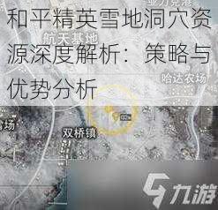 和平精英雪地洞穴资源深度解析：策略与优势分析