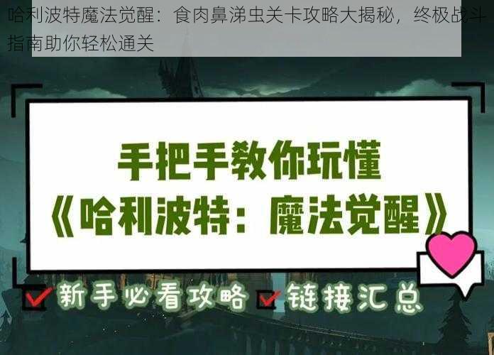 哈利波特魔法觉醒：食肉鼻涕虫关卡攻略大揭秘，终极战斗指南助你轻松通关