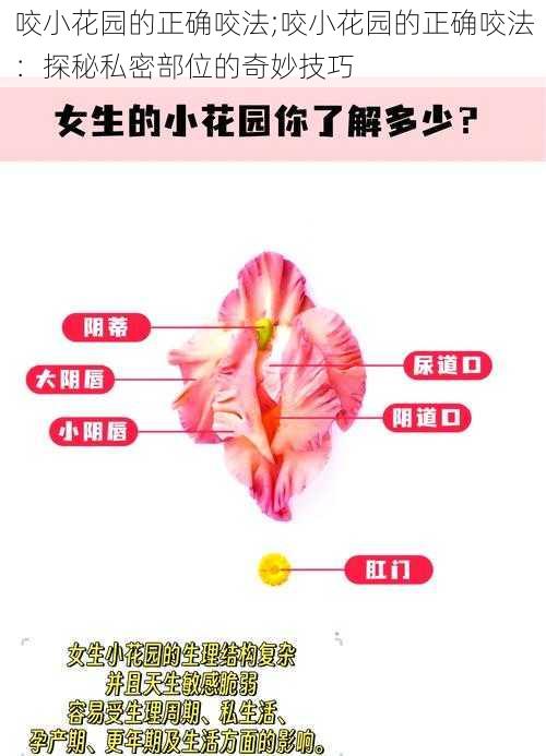 咬小花园的正确咬法;咬小花园的正确咬法：探秘私密部位的奇妙技巧