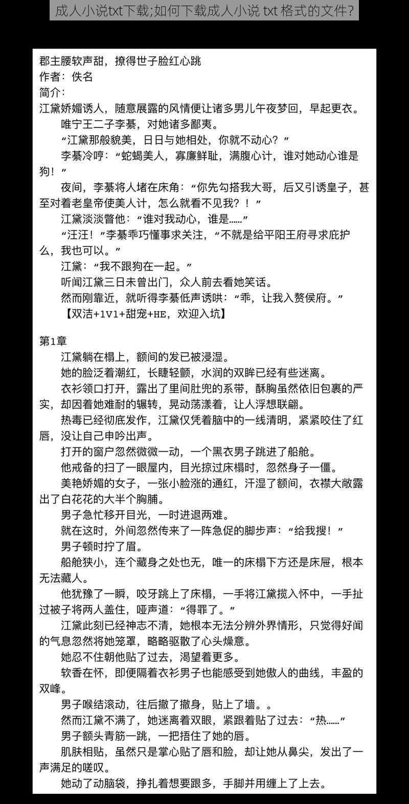 成人小说txt下载;如何下载成人小说 txt 格式的文件？