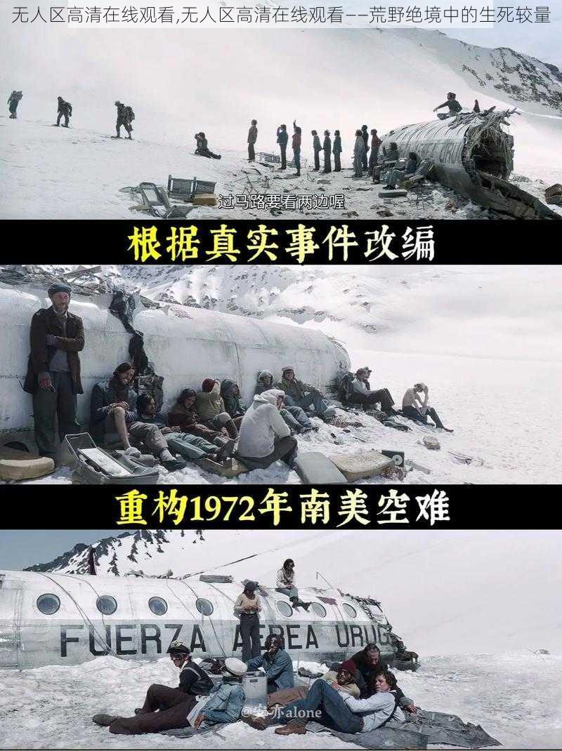 无人区高清在线观看,无人区高清在线观看——荒野绝境中的生死较量