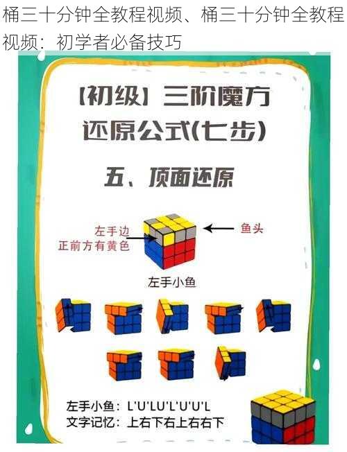 桶三十分钟全教程视频、桶三十分钟全教程视频：初学者必备技巧