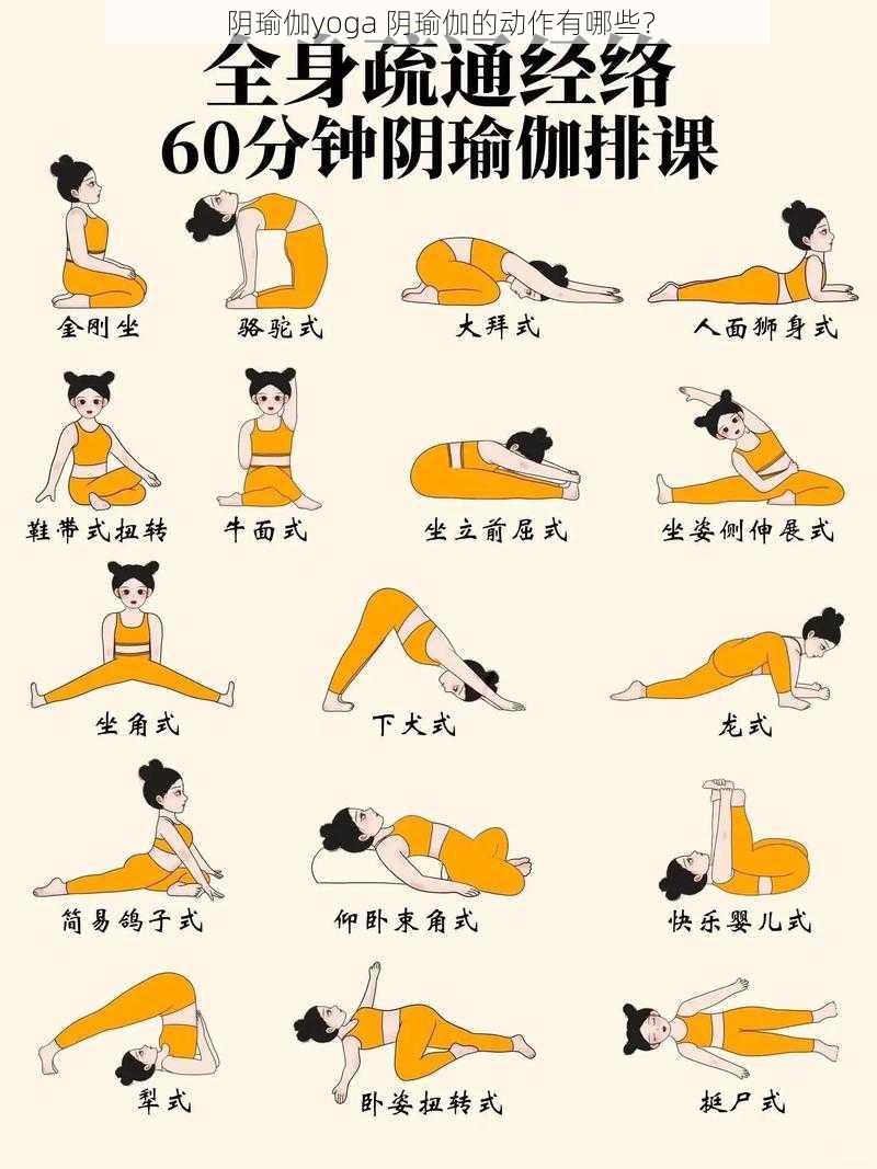 阴瑜伽yoga 阴瑜伽的动作有哪些？