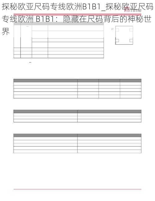 探秘欧亚尺码专线欧洲B1B1_探秘欧亚尺码专线欧洲 B1B1：隐藏在尺码背后的神秘世界