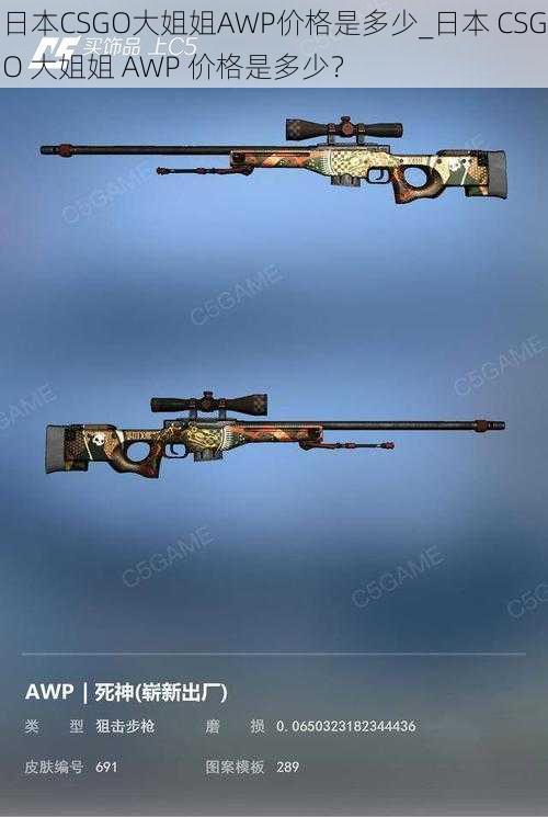 日本CSGO大姐姐AWP价格是多少_日本 CSGO 大姐姐 AWP 价格是多少？