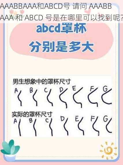 AAABBAAA和ABCD号 请问 AAABBAAA 和 ABCD 号是在哪里可以找到呢？