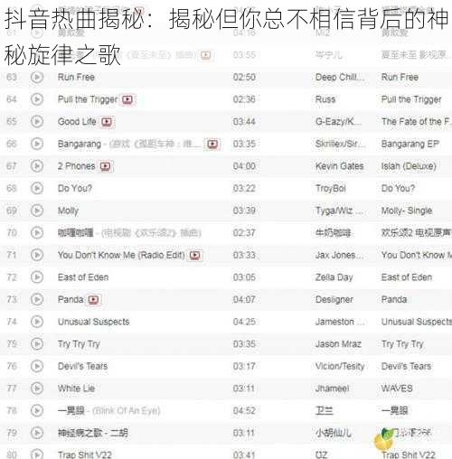 抖音热曲揭秘：揭秘但你总不相信背后的神秘旋律之歌