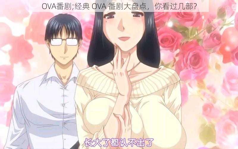 OVA番剧;经典 OVA 番剧大盘点，你看过几部？