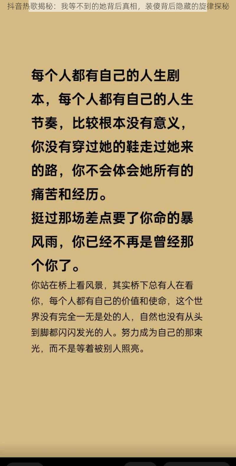 抖音热歌揭秘：我等不到的她背后真相，装傻背后隐藏的旋律探秘