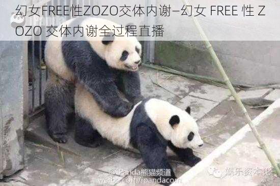 幻女FREE性ZOZO交体内谢—幻女 FREE 性 ZOZO 交体内谢全过程直播