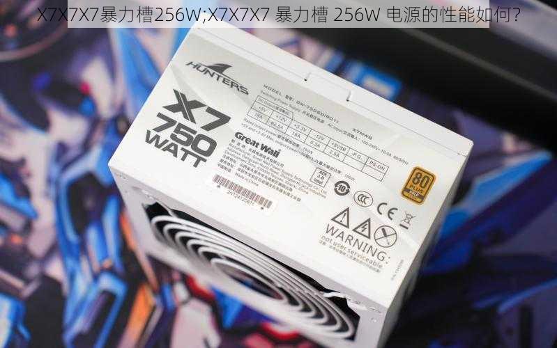 X7X7X7暴力槽256W;X7X7X7 暴力槽 256W 电源的性能如何？