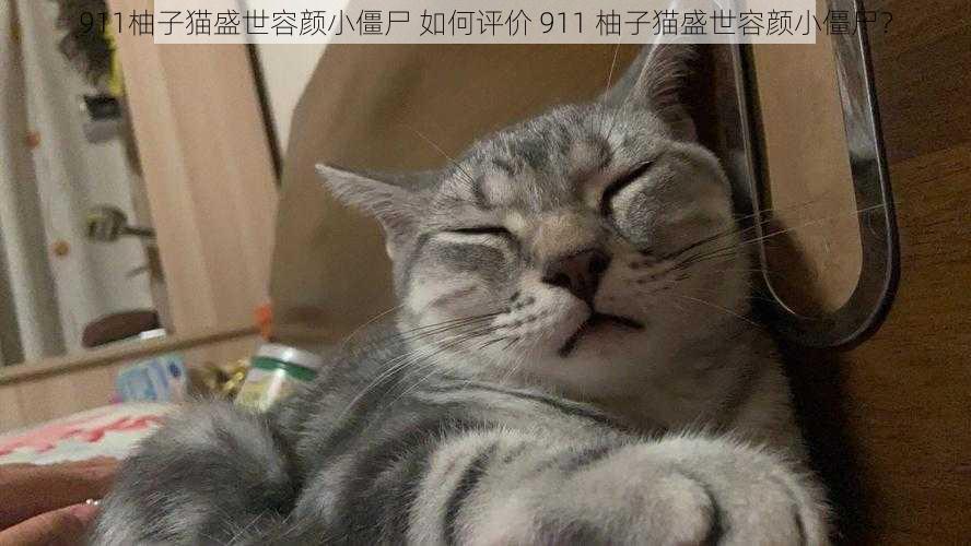 911柚子猫盛世容颜小僵尸 如何评价 911 柚子猫盛世容颜小僵尸？