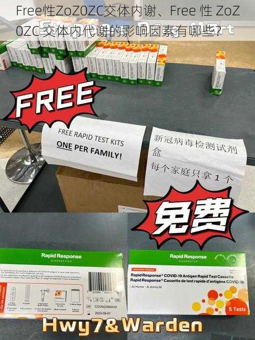 Free性ZoZ0ZC交体内谢、Free 性 ZoZ0ZC 交体内代谢的影响因素有哪些？