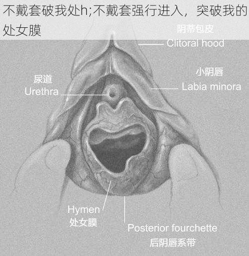 不戴套破我处h;不戴套强行进入，突破我的处女膜