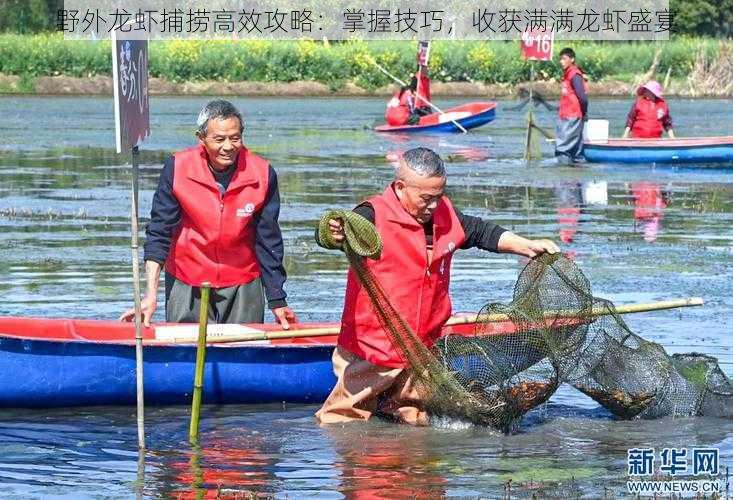 野外龙虾捕捞高效攻略：掌握技巧，收获满满龙虾盛宴