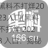 黑料不打烊2023入口(黑料不打烊 2023 入口：揭秘娱乐圈黑幕的神秘通道)