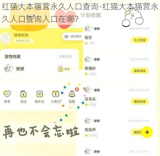 红猫大本猫营永久人口查询-红猫大本猫营永久人口查询入口在哪？