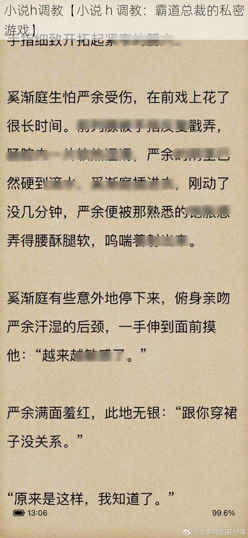 小说h调教【小说 h 调教：霸道总裁的私密游戏】