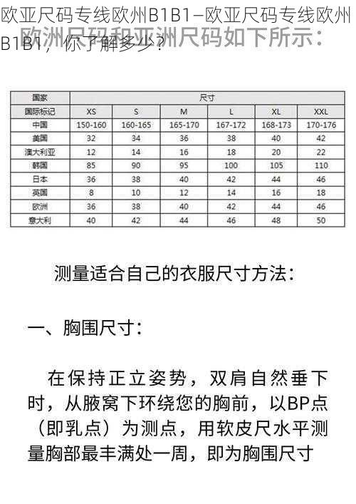 欧亚尺码专线欧州B1B1—欧亚尺码专线欧州 B1B1，你了解多少？