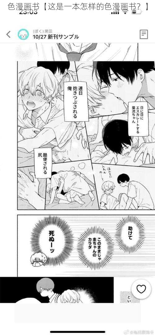 色漫画书【这是一本怎样的色漫画书？】