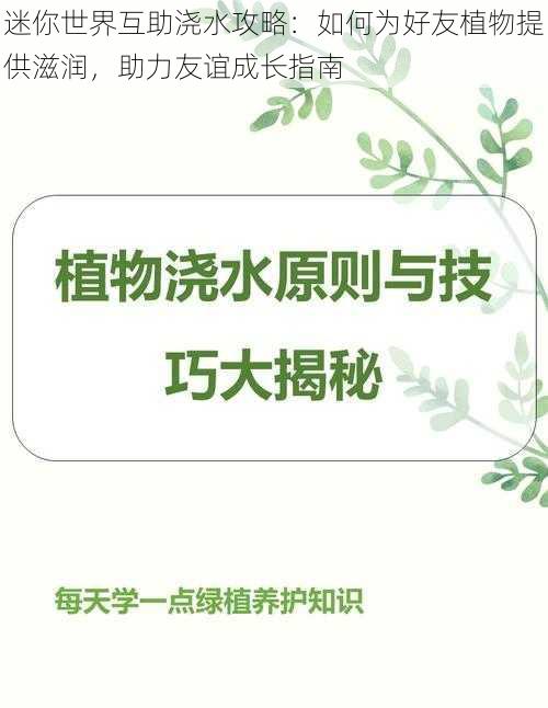 迷你世界互助浇水攻略：如何为好友植物提供滋润，助力友谊成长指南