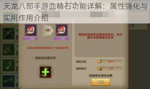 天龙八部手游血精石功能详解：属性强化与实用作用介绍